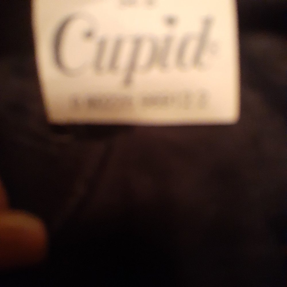 BODY SLIP:  BRA & SHAPER - Picture 4 of 4